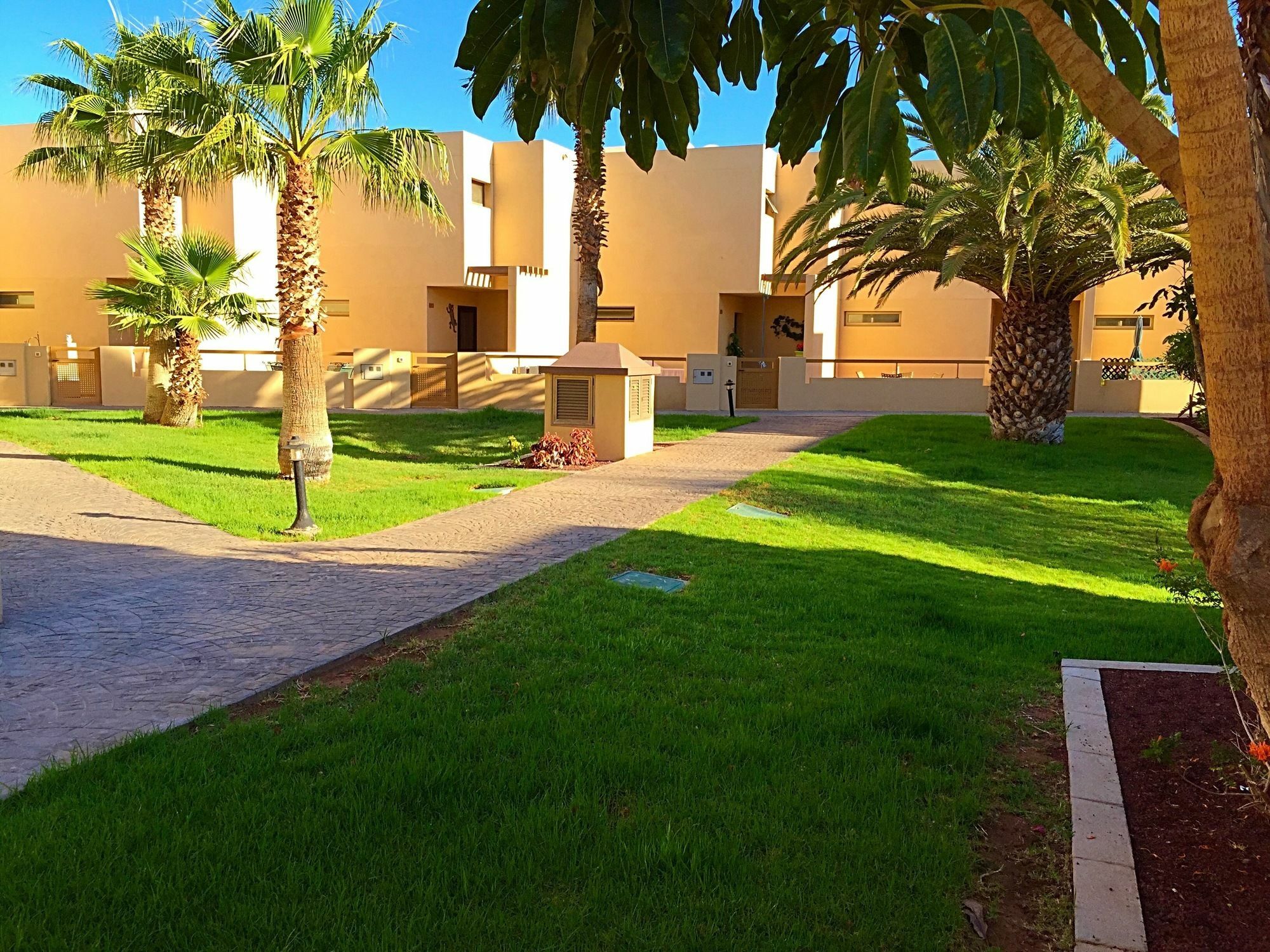 Villa Ocean Beach El Medano  Ngoại thất bức ảnh